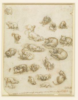 Cats, lions, and a dragon, circa 1513-18. Pen and ink with wash over black chalk (Royal Collection Trust / (c) Her Majesty Queen Elizabeth II 2018)