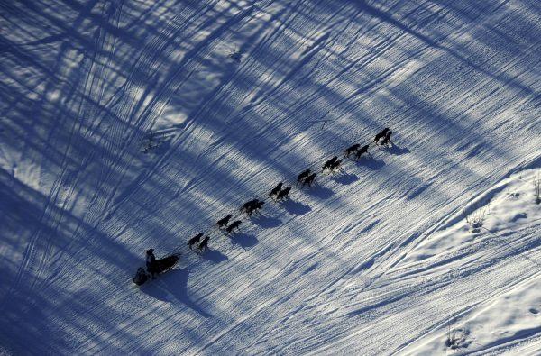 Nathan Schroeder drives his dog team down the trail just after the start of the Iditarod Trail Sled Dog Race near Willow, Alaska, on March 2, 2014. (Bob Hallinen/Anchorage Daily News via AP)