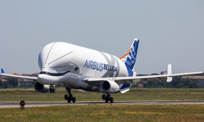 Beluga XL Might Be the ‘Cutest’ Airplane Ever