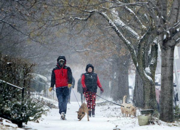 Kevin Britton, left, and his wife Amy Britton take their dogs for a walk through the snow in St. Louis, Mo., on March 3, 2019. (Colter Peterson/St. Louis Post-Dispatch via AP)