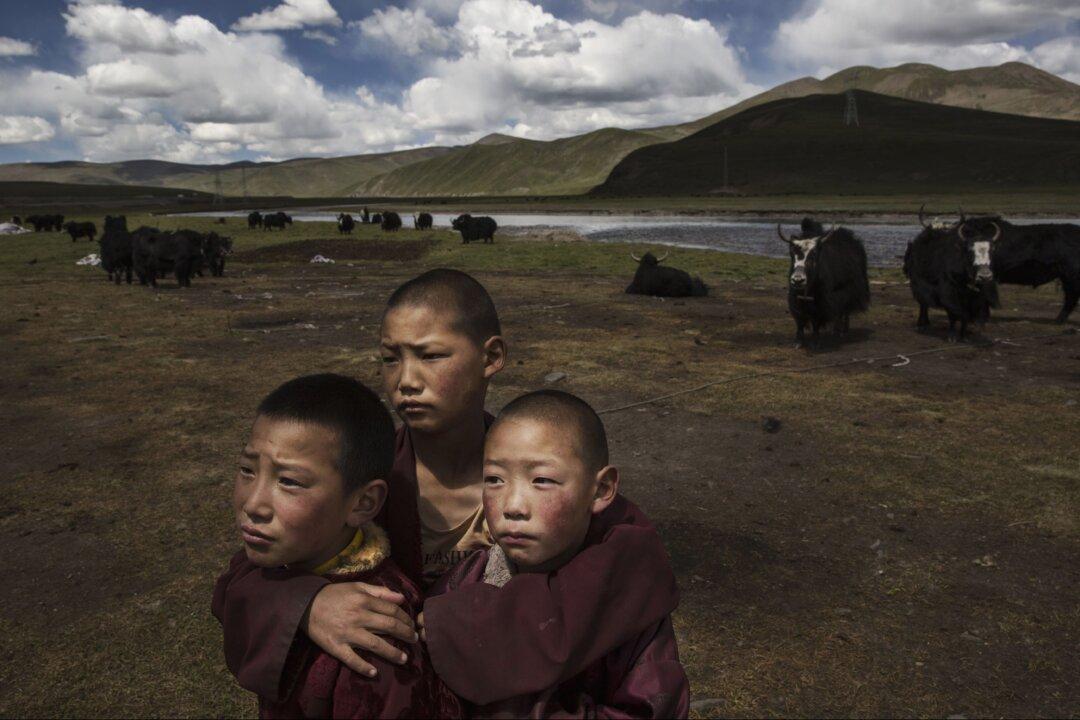 Tibetan Children Targeted for Mass DNA Collection: Human Rights Watch