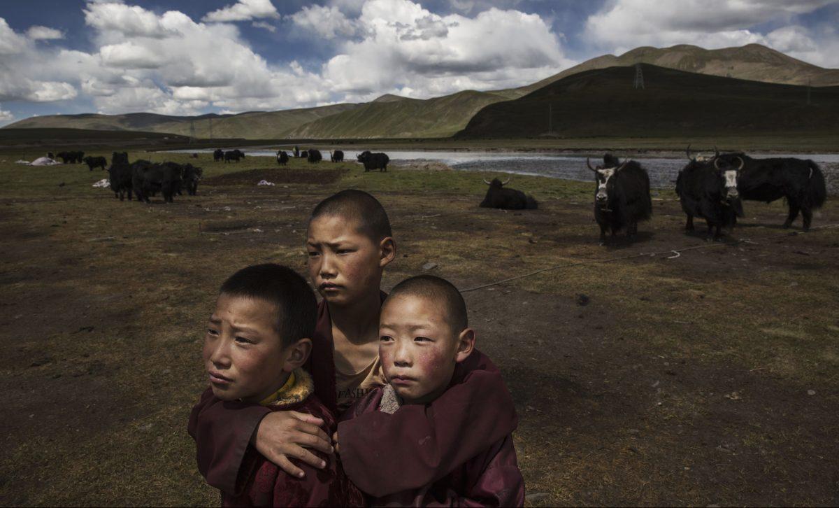 Young Tibetan Buddhist novice monks stand in the grasslands of their nomadic camp on the Tibetan Plateau in Madou County, Qinghai Province, China, on July 24, 2015. (Kevin Frayer/Getty Images)