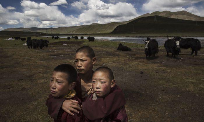 Tibetan Children Targeted for Mass DNA Collection: Human Rights Watch