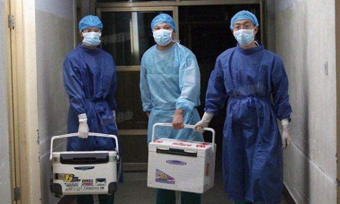 The Tragic Truth: Organ Harvesting in China