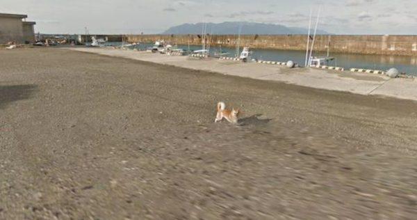 The chase persists (Google Street)
