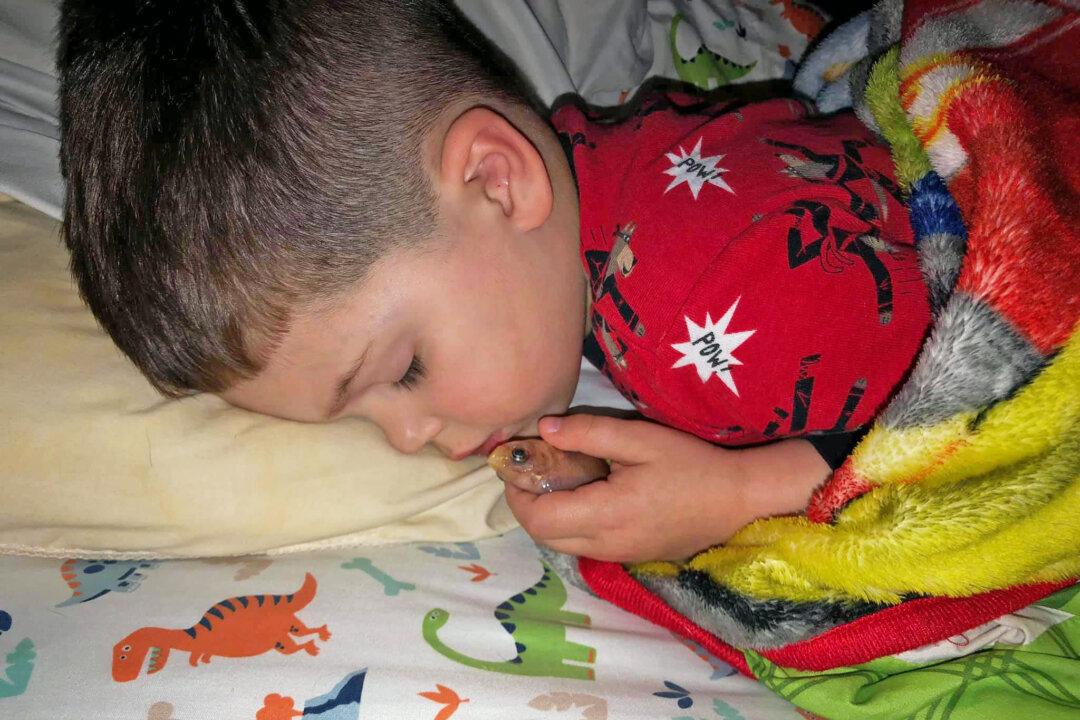 4-Year-Old Accidentally Cuddles Pet Fish to Death