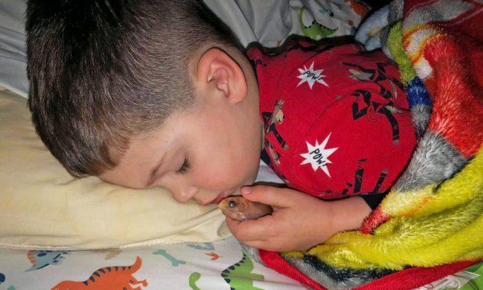 4-Year-Old Accidentally Cuddles Pet Fish to Death