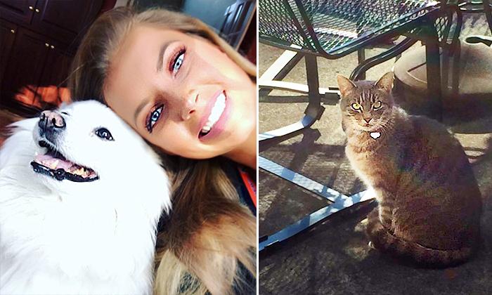 Neighbor’s Cat Comes Over Every Day Looking for Best-Friend Dog That Passed Away
