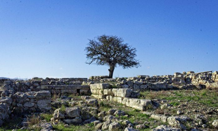 Finding the Lost Minoan Palace of Galatas