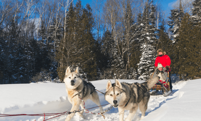5 Ways to Play in the Snow in Quebec