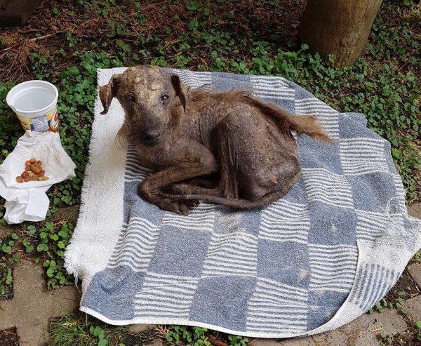 Photo courtesy of <a data-cke-saved-href="https://www.instagram.com/herculesysubanda/" href="https://www.instagram.com/herculesysubanda/">herculesysubanda</a>