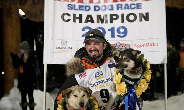 Alaskan Native Pete Kaiser Wins Iditarod Trail Sled Dog Race