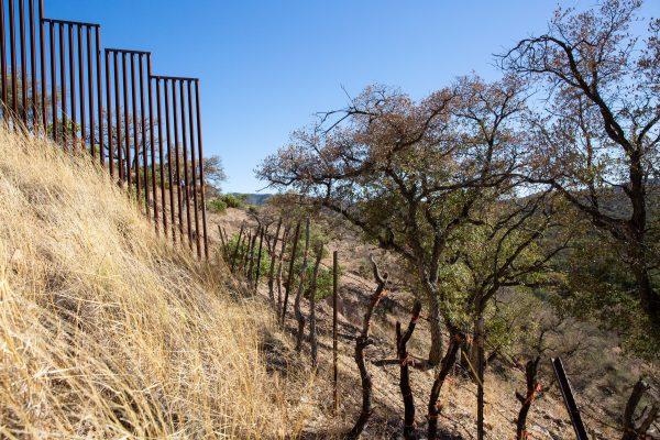 The U.S.-Mexico border where the fence becomes a small barbed wire fence, west of Nogales, Ariz., on May 23, 2018. (Samira Bouaou/The Epoch Times)