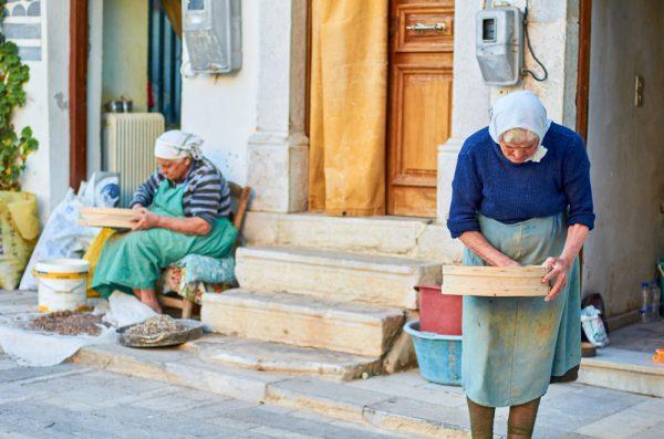 In the mastic villages of Chios, mastiha is harvested and cleaned by hand. (Shutterstock)