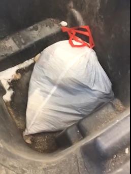 A bag with puppies inside found on Feb. 28, 2019, in Marshfield, Wis. (Marshfield Police Department)