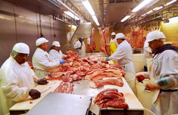 Workers cut pork at Park Packing—one of the Chicago's few remaining slaughterhouses—in Chicago, Illinois on July 18, 2015. (Karl Plume/Reuters)