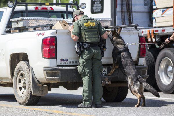 U.S. Border Patrol agents search a vehicle that was sent to secondary inspection at a highway checkpoint in West Enfield, Maine, on Aug. 1, 2018. (Scott Eisen/Getty Images)