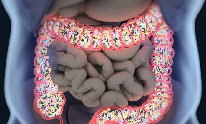 Psychological Therapies May Relieve Inflammatory Bowel Disease