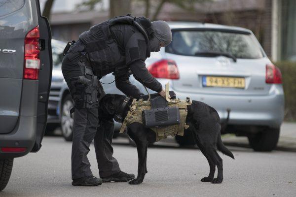 Dutch counter-terrorism police install a camera on a sniffer dog as they prepare to enter a house after a shooting incident in Utrecht, Netherlands, on March 18, 2019. (Peter Dejong/AP Photo)