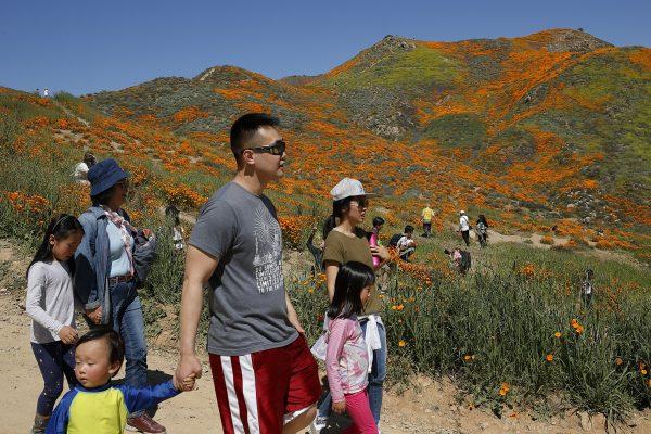 People walk among wildflowers in bloom March 18, 2019. (Gregory Bull/AP Photo)