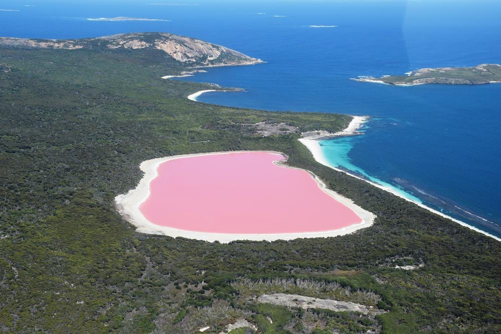 British explorer Matthew Flinders noted "a small lake of rose color" (©Shutterstock | <a href="https://www.shutterstock.com/image-photo/lake-hillier-western-australia-amazing-pink-715055308">matteo_it</a>)