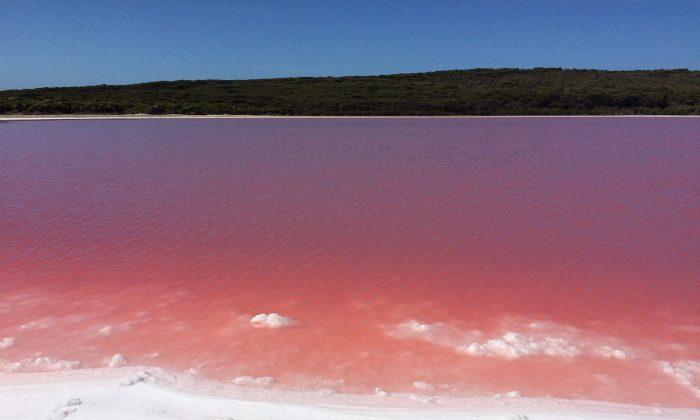 Uncovering the Mystery of Australia’s Famous Strawberry-Colored Lake Hillier