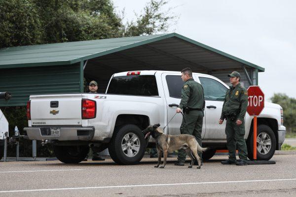 Border Patrol agents and a K-9 inspect vehicles at the Javier Vega Jr. Border Patrol checkpoint in Sarita, Texas, on March 20, 2019. (Charlotte Cuthbertson/The Epoch Times)