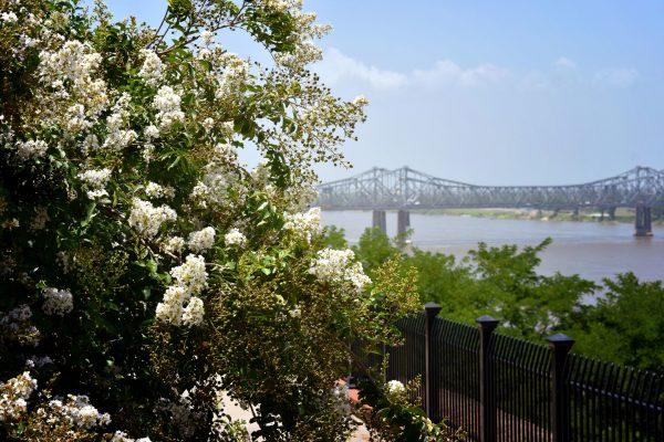 Natchez sits on the bluffs overlooking the Mississippi River. (Courtesy of Visit Natchez)