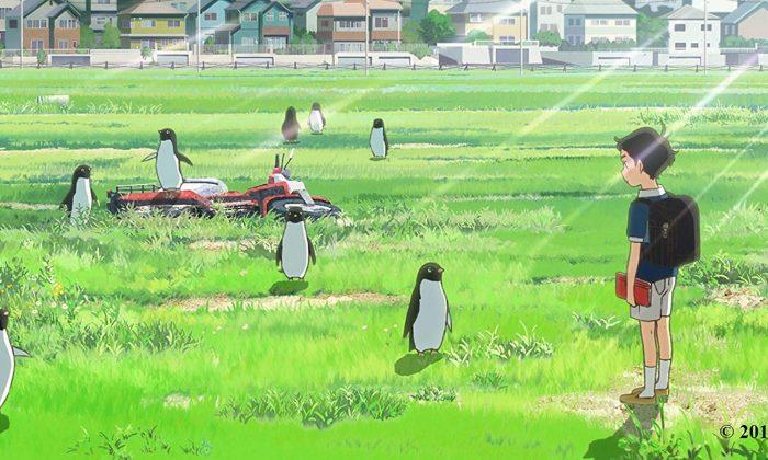 Film Review: ‘Penguin Highway’