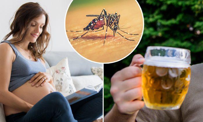 Here’s Why Mosquitoes Love Pregnant Women and Beer Drinkers, and 4 Ways to Avoid Them