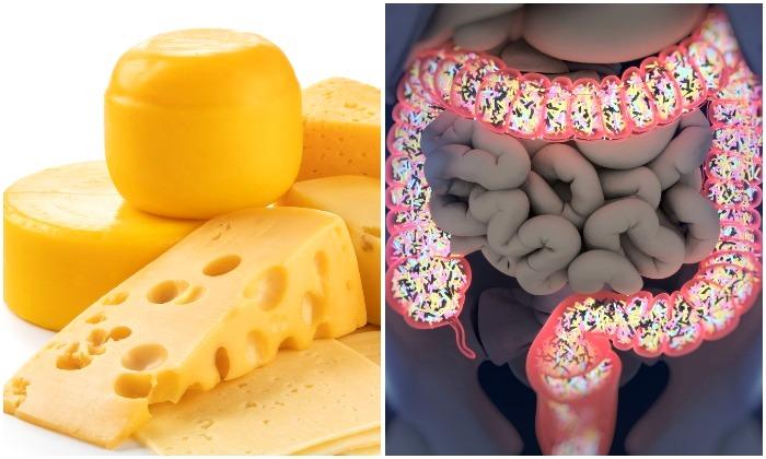 8 Foods That Can Feed Your Gut with the Power of Probiotics–Incredible for Weight Loss & Other Intestinal Benefits