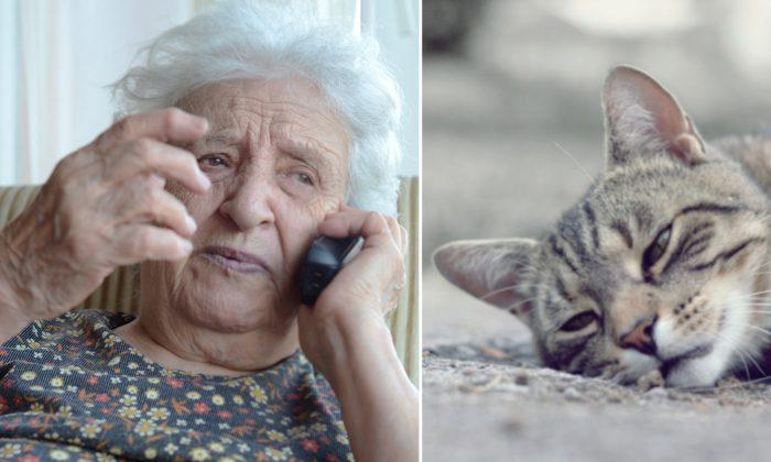 Elderly Lady Distraught Over Cat’s Death Calls 911, So Kind Cop Buys a Shovel to Help Her
