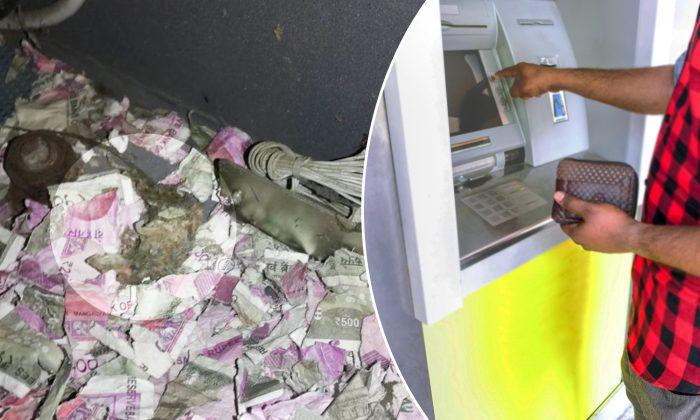 Rat Breaks Into Indian ATM and Dies After Consuming $18,000 Worth of Bank Notes