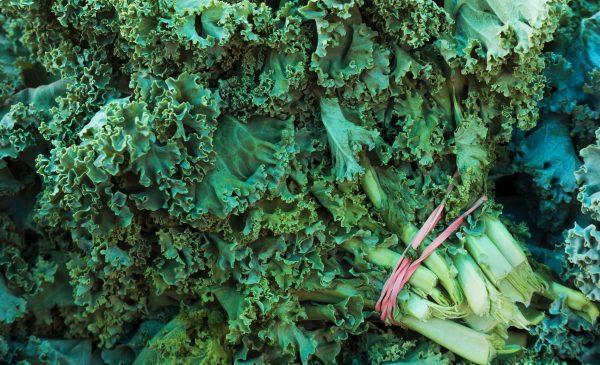 Kale is seen at a Farmer's Market where locally grown produce is sold August 13, 2015 in Fairfax, Virginia. (Paul J. Richards/AFP/Getty Images)