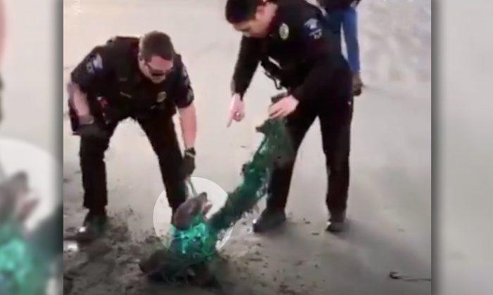 Cops Try to Detangle Terrified Seal Trapped in Net Even When It Attempts to Bite