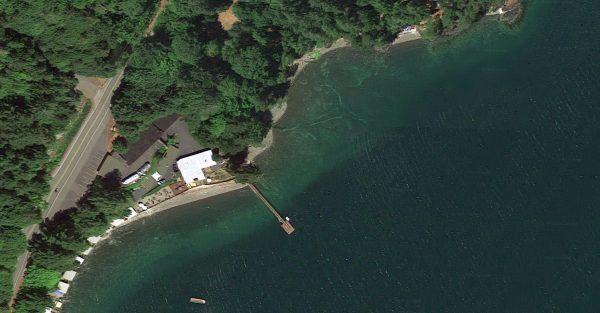 Mike's Beach Resort in Washington state, where a cougar attacked a dog on a beach. (Screenshot/Googlemaps)