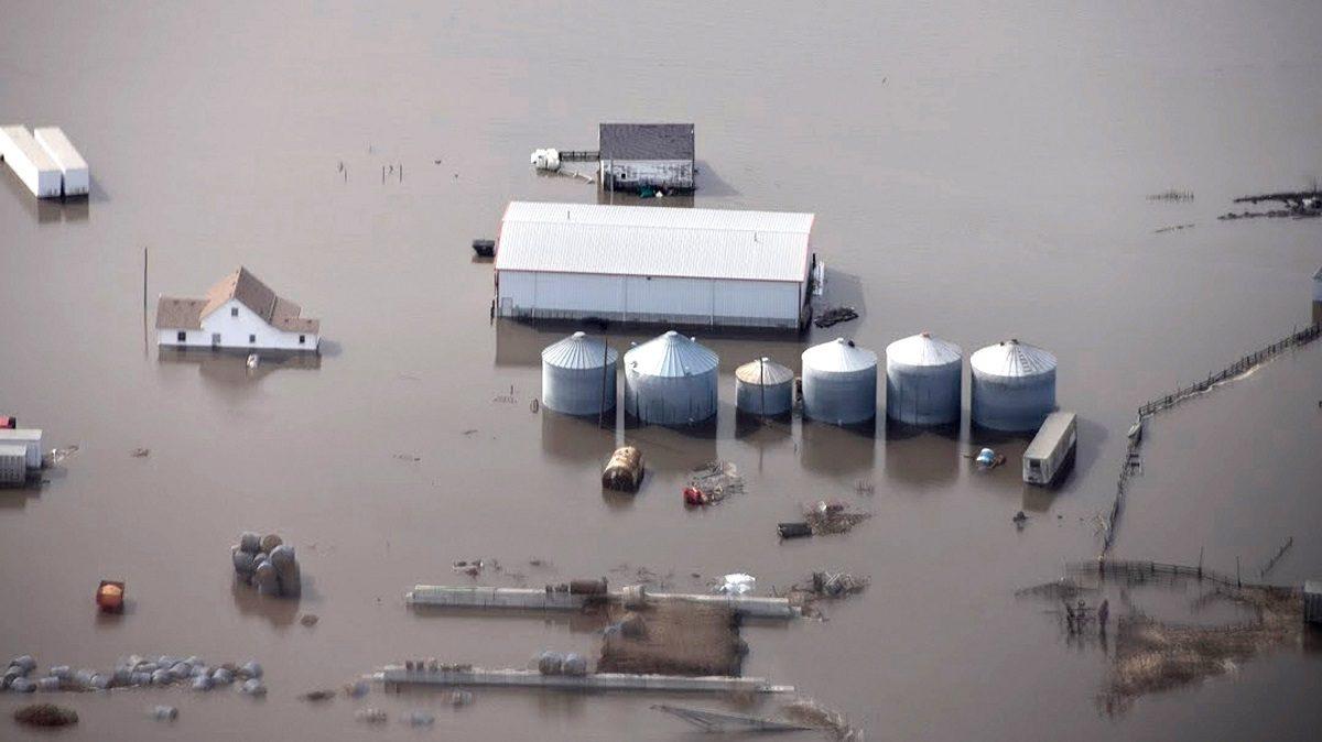 The Midwest flooding has killed livestock, ruined harvests and has farmers worried for their future. (Iowa Homeland Security and Emergency Management via AP)