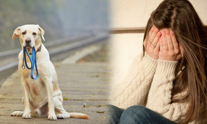 Losing Your Pet Can Be Heartbreaking, Here Are Some Hints on How to Cope