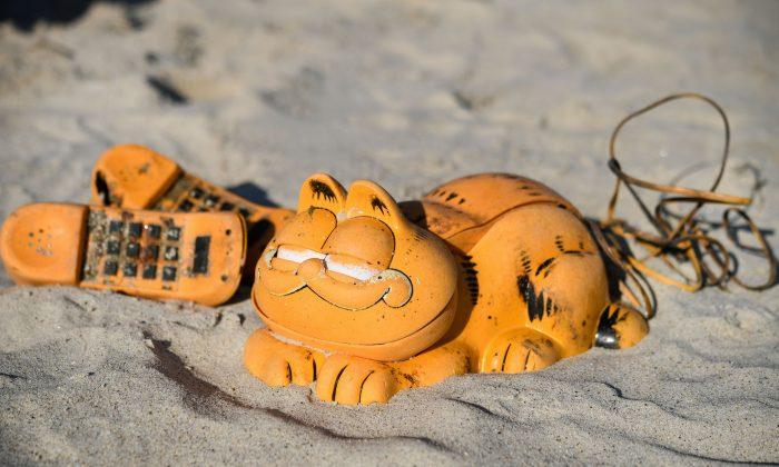The Mystery of Garfield Phones Washing Up on Beaches Finally Solved