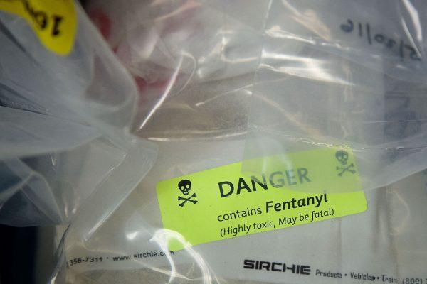 Bags of heroin, some laced with fentanyl, are displayed at the office of the New York Attorney General in New York City on Sept. 23, 2016. (Drew Angerer/Getty Images)