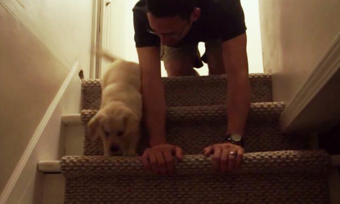 Nervous Puppy’s Afraid to Go Downstairs, So Loving Owner Crawls to Teach Him