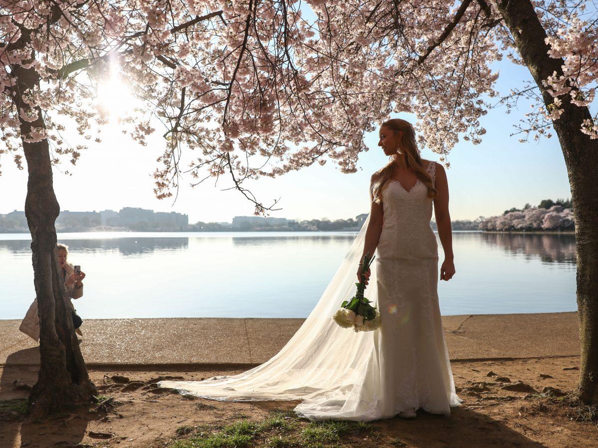 Cherry Blossom trees are in full bloom at the Tidal Basin in Washington on April 3, 2019. (Samira Bouaou/The Epoch Times)