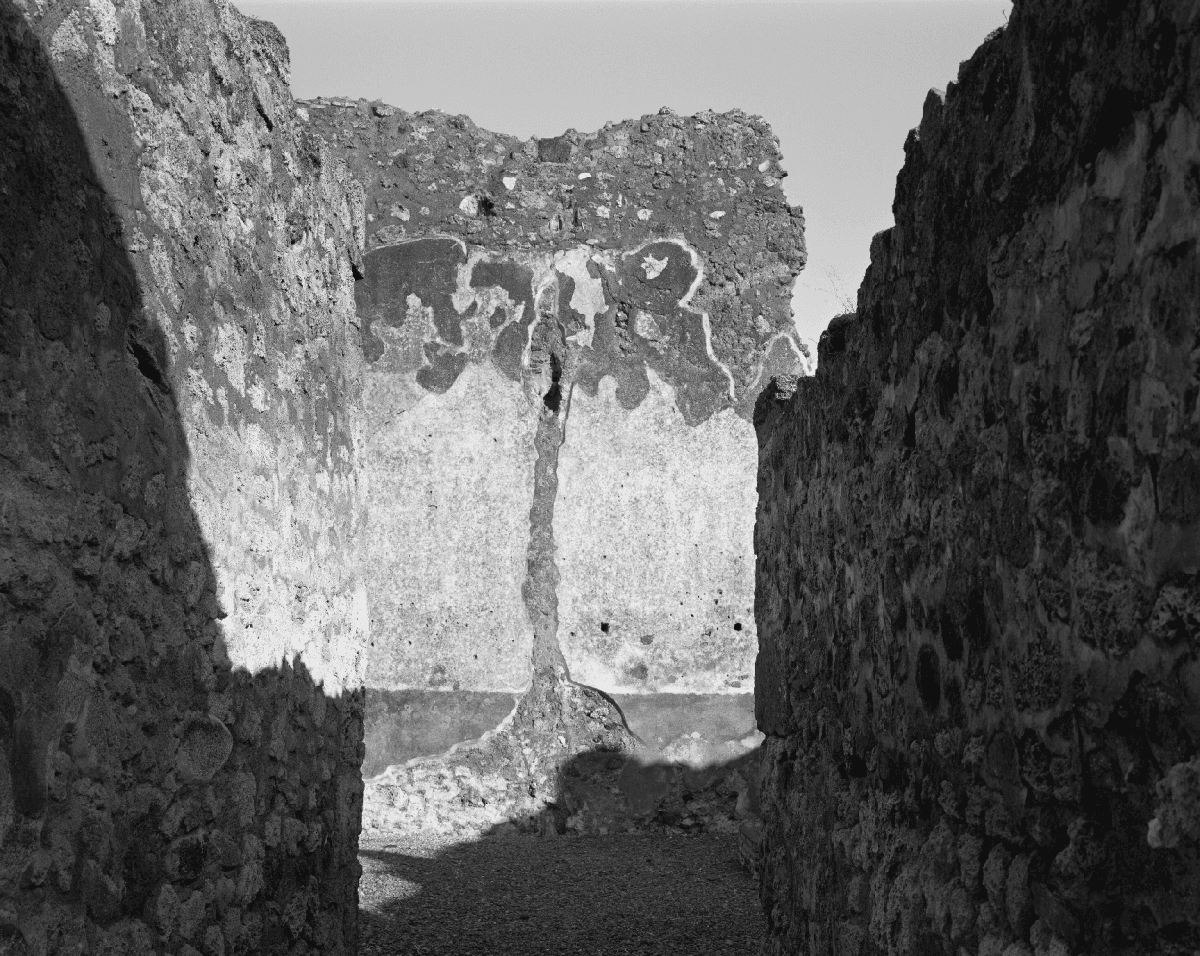 Walls (Pompeian building), Pompeii,” 2013, by William Wylie. (William Wylie)