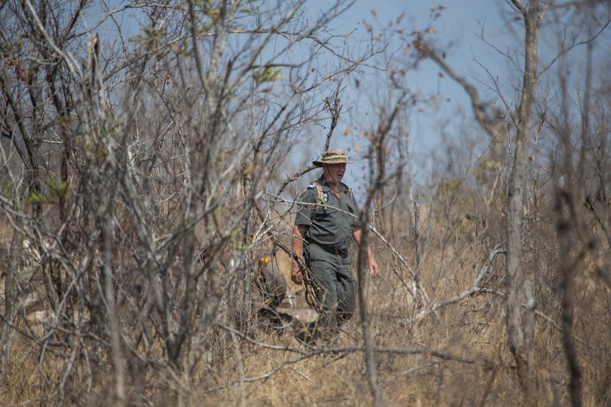 Poacher Eaten by Lions After Getting Killed by Elephant
