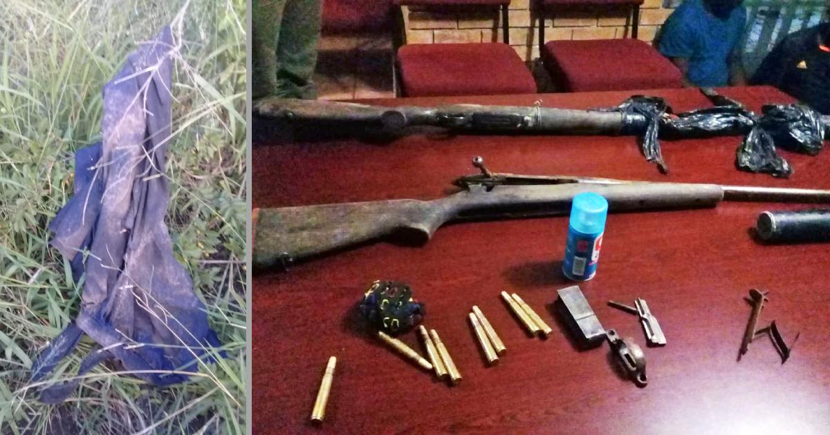 Lions Eat Suspected Poacher Who Died After Elephant Attack
