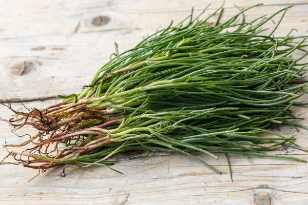The leaves of agretti look like chives, and they have a succulent texture with a nice crunch when eaten raw. (Shutterstock)