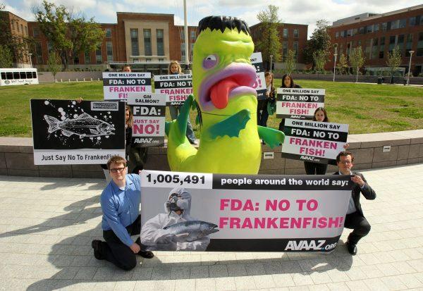 Activists demonstrate against AquaBounty’s genetically modified salmon, dubbed “frankenfish,” outside of the FDA headquarters in Silver Spring, Md., on April 22, 2013.  (Paul Morigi/AP Images for Avaaz)