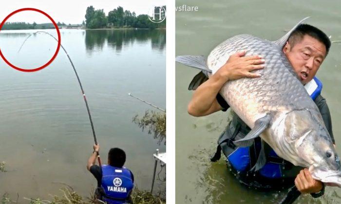 ‘Sportfishing Master’ Reels in 165-Pound Carp After an Intense Fight