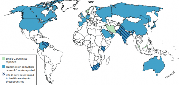A map of Candida auris cases around the world. (CDC)