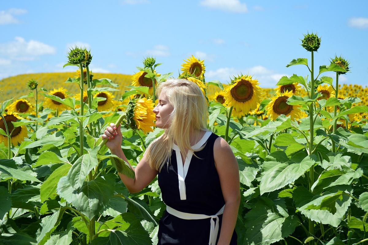 (Illustration - <a href="https://pixabay.com/photos/sunflowers-blond-girl-field-smell-1572369/">quinntheislander</a>/Pixabay)